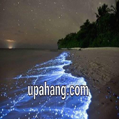 دانلود آهنگ آخه تو خودت گلی چه قشنگه دیدنت معین